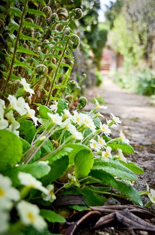 The Longcross Hotel And Gardens Bodmin Exteriér fotografie